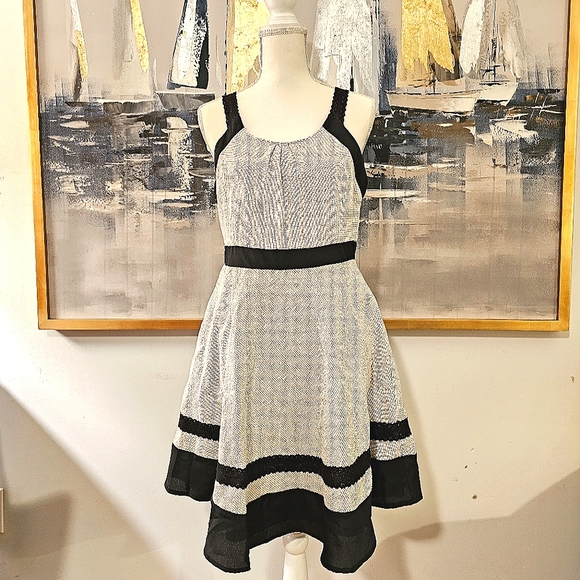 Ryu Dresses & Skirts - Ryu Black and White Mini Dress